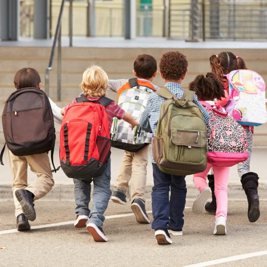 Gender: a Theory That Does Not Exist